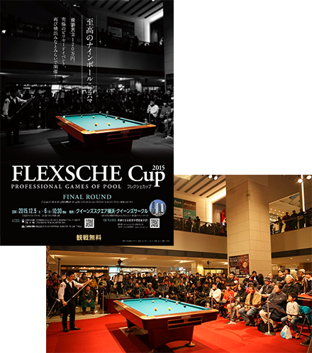 FLEXSCHE CUP